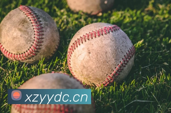 D体育在线官网 - D体育(中国)发展历程